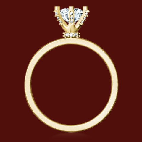 https://www.goldiam.co.il/sites/default/files/T5337F_rb%20%28%D7%A7%D7%98%D7%9F%29.jpg